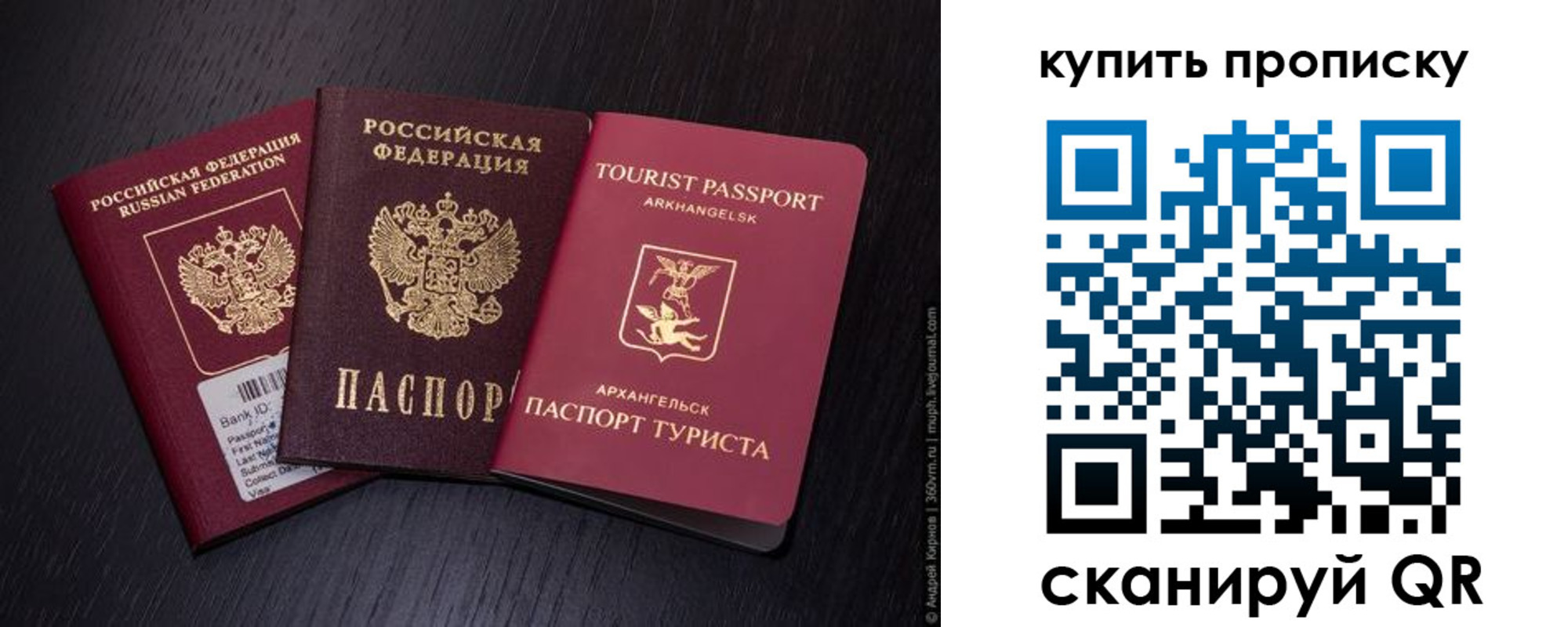 прописка ребенка в Королёве